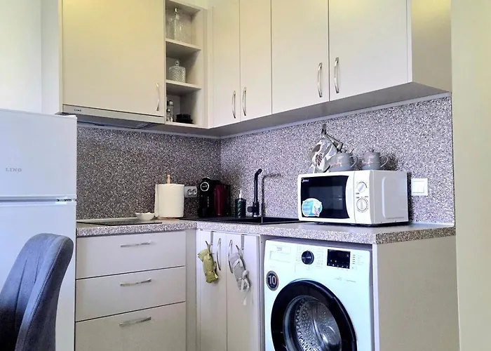 Modern In Shartrez, Shkorpilovsti שקורפילובצי